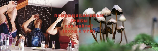 амф Алексин