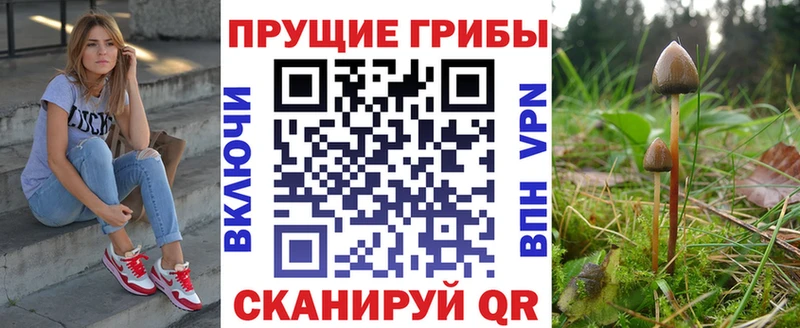 купить закладку Череповец Галлюциногенные грибы мицелий